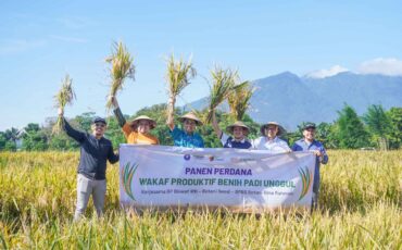 Nazhir IPB Lakukan Panen Perdana Wakaf Produktif Benih Padi Unggul IPB 3S dan IPB 9G