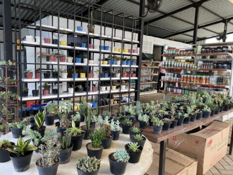 Copy of IMG_8143