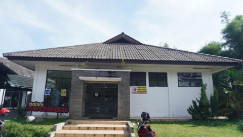 IPB00520