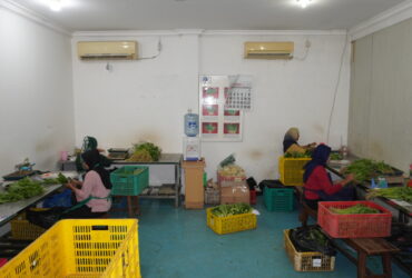 IPB00757