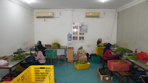 IPB00757