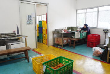 IPB00778