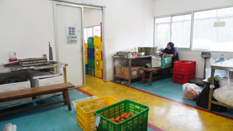 IPB00778