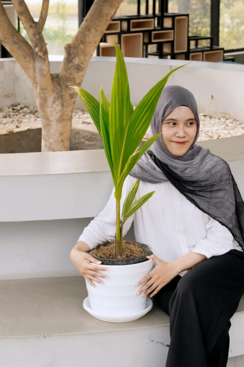 IPB08403